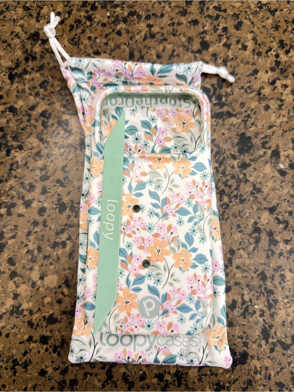 Loopy Case 17 Pro